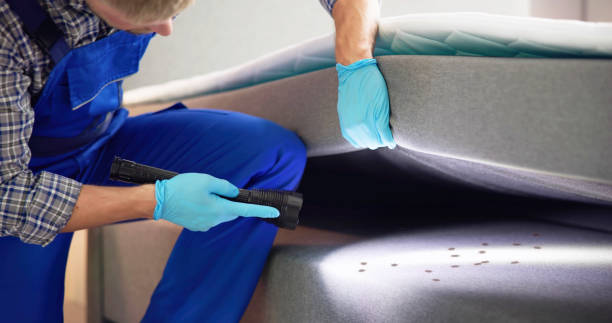 Port Washington, NY Pest Control Company