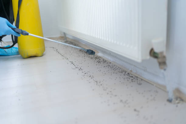 Best Local Pest Control Services  in Port Washington, NY