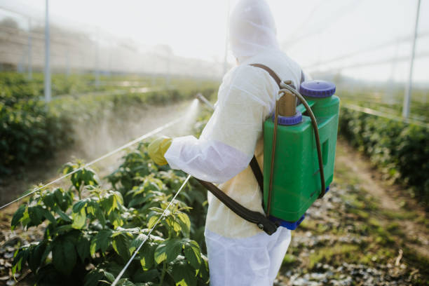 Best Insect Control  in Port Washington, NY
